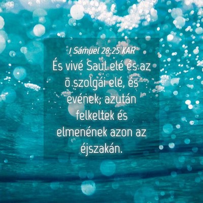 Picture 04 - 1 Sámuel 28:25 KAR - És vivé Saul elé és az õ szolgái elé, és - Bible Verse Picture