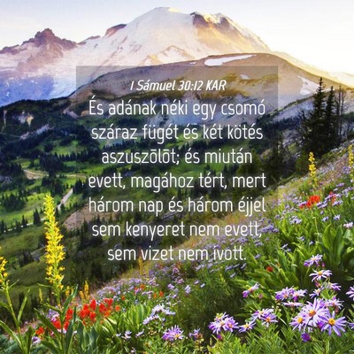 Picture 04 - 1 Sámuel 30:12 KAR - És adának néki egy csomó száraz fügét és - Bible Verse Picture
