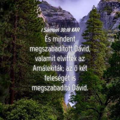 Picture 04 - 1 Sámuel 30:18 KAR - És mindent megszabadított Dávid, valamit - Bible Verse Picture