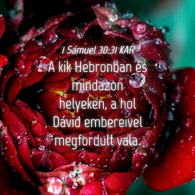 Picture 04 - 1 Sámuel 30:31 KAR - A kik Hebronban és mindazon helyeken, a hol - Bible Verse Picture