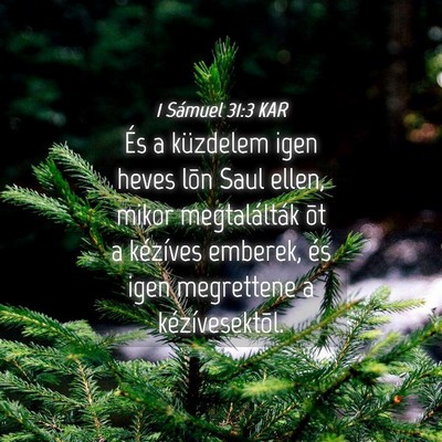 Picture 04 - 1 Sámuel 31:3 KAR - És a küzdelem igen heves lõn Saul ellen, mikor - Bible Verse Picture