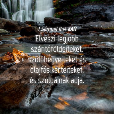 Picture 04 - 1 Sámuel 8:14 KAR - Elveszi legjobb szántóföldeiteket, - Bible Verse Picture