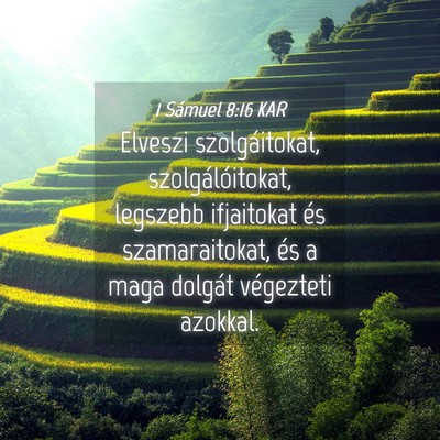 Picture 04 - 1 Sámuel 8:16 KAR - Elveszi szolgáitokat, szolgálóitokat, legszebb - Bible Verse Picture