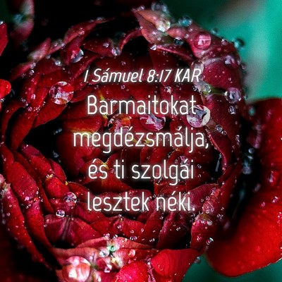 Picture 04 - 1 Sámuel 8:17 KAR - Barmaitokat megdézsmálja, és ti szolgái - Bible Verse Picture