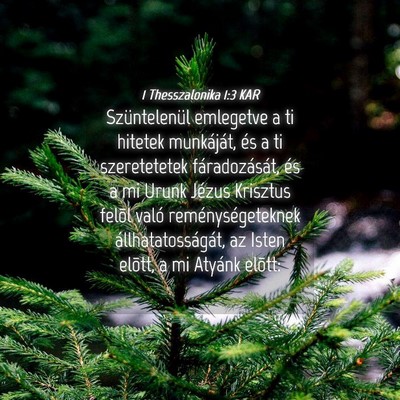 Picture 04 - 1 Thesszalonika 1:3 KAR - Szüntelenül emlegetve a ti hitetek munkáját, - Bible Verse Picture