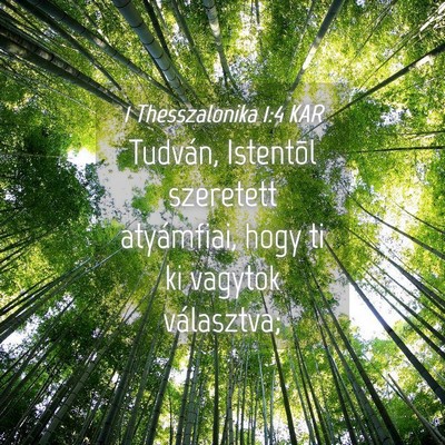 Picture 04 - 1 Thesszalonika 1:4 KAR - Tudván, Istentõl szeretett atyámfiai, hogy ti - Bible Verse Picture