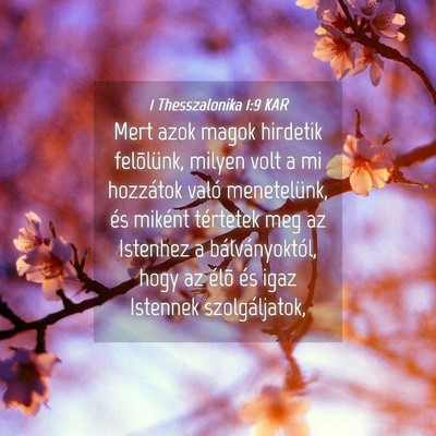 Picture 04 - 1 Thesszalonika 1:9 KAR - Mert azok magok hirdetik felõlünk, milyen volt - Bible Verse Picture