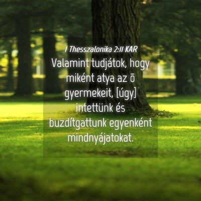 Picture 04 - 1 Thesszalonika 2:11 KAR - Valamint tudjátok, hogy miként atya az õ - Bible Verse Picture
