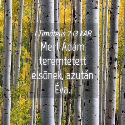 Picture 04 - 1 Timóteus 2:13 KAR - Mert Ádám teremtetett elsõnek, azután - Bible Verse Picture