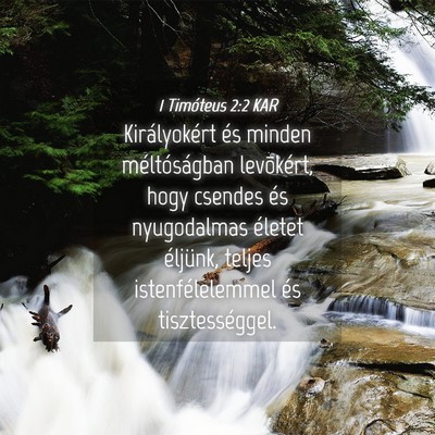 Picture 04 - 1 Timóteus 2:2 KAR - Királyokért és minden méltóságban - Bible Verse Picture