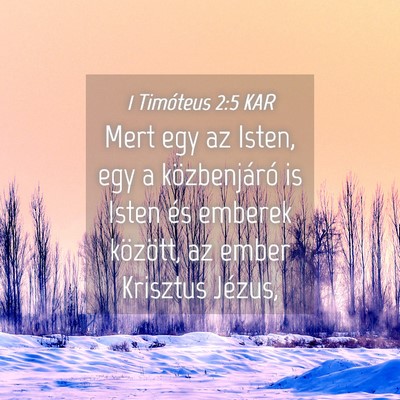 Picture 04 - 1 Timóteus 2:5 KAR - Mert egy az Isten, egy a közbenjáró is Isten - Bible Verse Picture