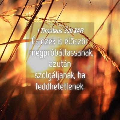 Picture 04 - 1 Timóteus 3:10 KAR - És ezek is elõször megpróbáltassanak, - Bible Verse Picture