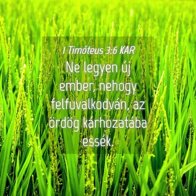 Picture 04 - 1 Timóteus 3:6 KAR - Ne legyen új ember, nehogy felfuvalkodván, az - Bible Verse Picture