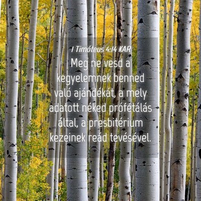 Picture 04 - 1 Timóteus 4:14 KAR - Meg ne vesd a kegyelemnek benned való - Bible Verse Picture