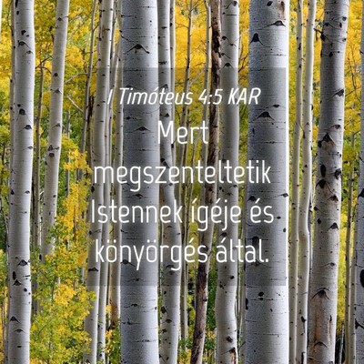 Picture 04 - 1 Timóteus 4:5 KAR - Mert megszenteltetik Istennek ígéje és - Bible Verse Picture