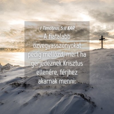 Picture 04 - 1 Timóteus 5:11 KAR - A fiatalabb özvegyasszonyokat pedig mellõzd; - Bible Verse Picture