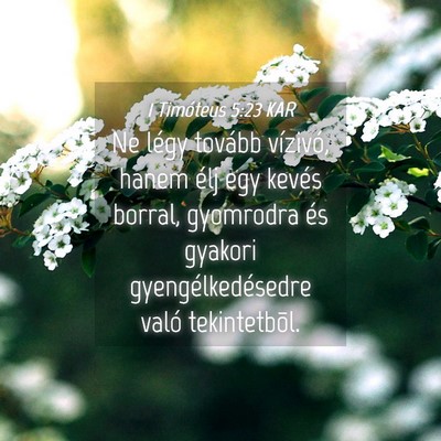 Picture 04 - 1 Timóteus 5:23 KAR - Ne légy tovább vízivó, hanem élj egy kevés - Bible Verse Picture