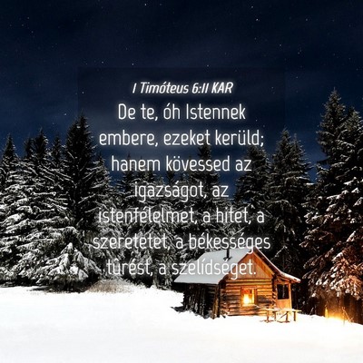 Picture 04 - 1 Timóteus 6:11 KAR - De te, óh Istennek embere, ezeket kerüld; hanem - Bible Verse Picture