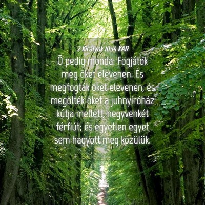 Picture 04 - 2 Királyok 10:14 KAR - Õ pedig monda: Fogjátok meg õket elevenen. És - Bible Verse Picture