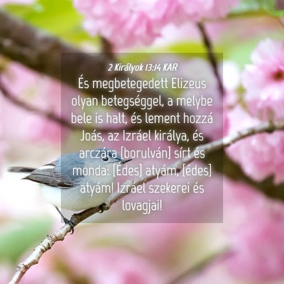 Picture 04 - 2 Királyok 13:14 KAR - És megbetegedett Elizeus olyan betegséggel, a - Bible Verse Picture