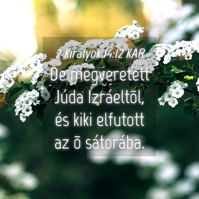 Picture 04 - 2 Királyok 14:12 KAR - De megveretett Júda Izráeltõl, és kiki - Bible Verse Picture