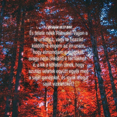Picture 04 - 2 Királyok 18:27 KAR - És felele nékik Rabsaké: Vajjon a te uradhoz, - Bible Verse Picture
