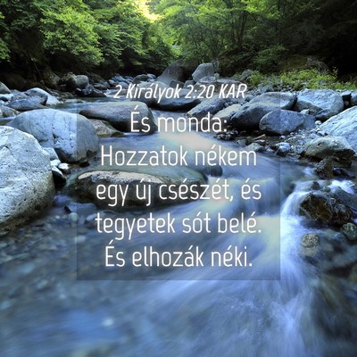 Picture 04 - 2 Királyok 2:20 KAR - És monda: Hozzatok nékem egy új csészét, és - Bible Verse Picture