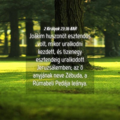 Picture 04 - 2 Királyok 23:36 KAR - Joákim huszonöt esztendõs volt, mikor - Bible Verse Picture