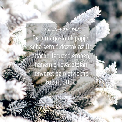 Picture 04 - 2 Királyok 23:9 KAR - De a magaslatok papjai soha sem áldoztak az Úr - Bible Verse Picture