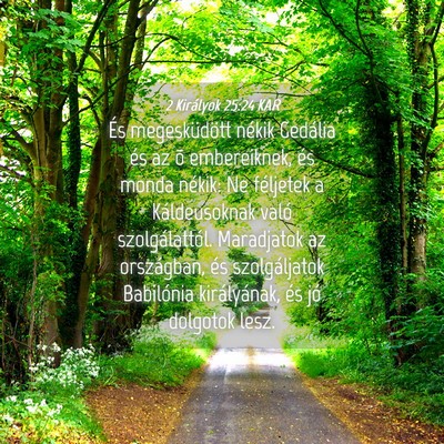 Picture 04 - 2 Királyok 25:24 KAR - És megesküdött nékik Gedália és az õ - Bible Verse Picture