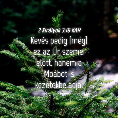 Picture 04 - 2 Királyok 3:18 KAR - Kevés pedig [még] ez az Úr szemei elõtt, - Bible Verse Picture