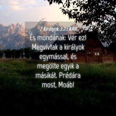 Picture 04 - 2 Királyok 3:23 KAR - És mondának: Vér ez! Megvívtak a királyok - Bible Verse Picture