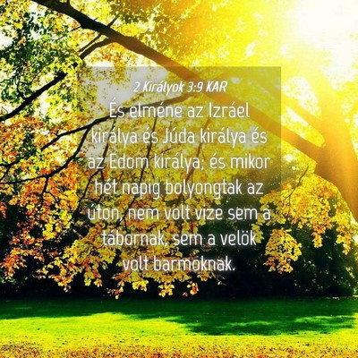 Picture 04 - 2 Királyok 3:9 KAR - És elméne az Izráel királya és Júda - Bible Verse Picture