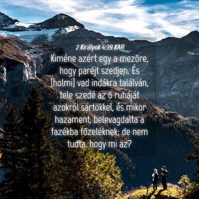 Picture 04 - 2 Királyok 4:39 KAR - Kiméne azért egy a mezõre, hogy paréjt - Bible Verse Picture