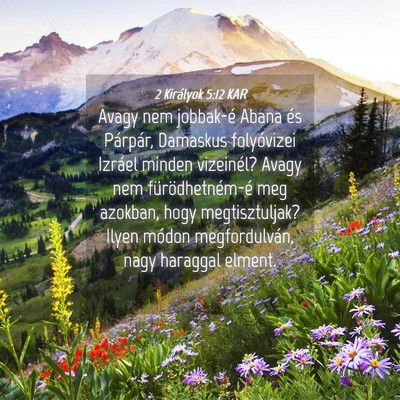 Picture 04 - 2 Királyok 5:12 KAR - Avagy nem jobbak-é Abana és Párpár, Damaskus - Bible Verse Picture