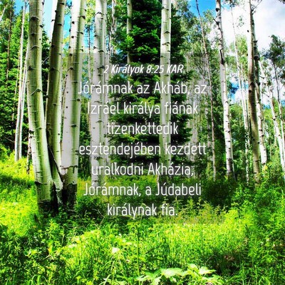 Picture 04 - 2 Királyok 8:25 KAR - Jórámnak az Akháb, az Izráel királya fiának - Bible Verse Picture