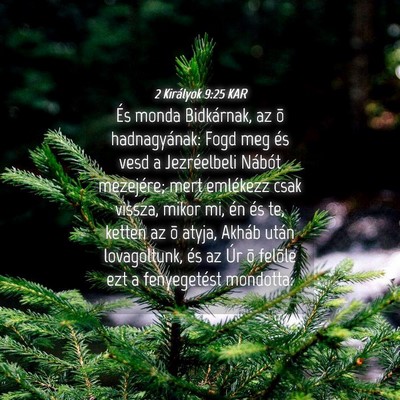 Picture 04 - 2 Királyok 9:25 KAR - És monda Bidkárnak, az õ hadnagyának: Fogd - Bible Verse Picture