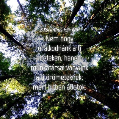 Picture 04 - 2 Korinthus 1:24 KAR - Nem hogy uralkodnánk a ti hiteteken, hanem - Bible Verse Picture