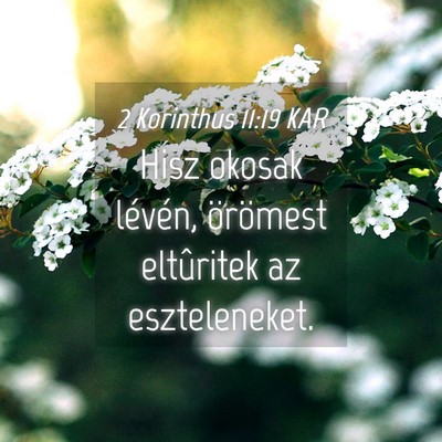 Picture 04 - 2 Korinthus 11:19 KAR - Hisz okosak lévén, örömest eltûritek az - Bible Verse Picture