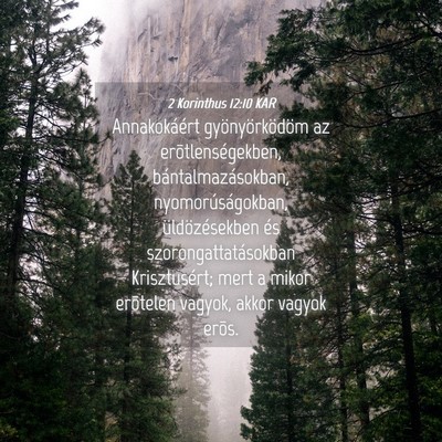 Picture 04 - 2 Korinthus 12:10 KAR - Annakokáért gyönyörködöm az - Bible Verse Picture