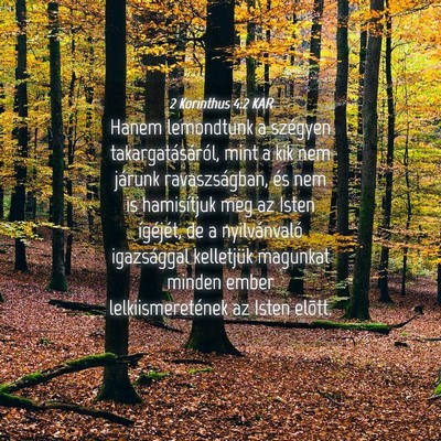 Picture 04 - 2 Korinthus 4:2 KAR - Hanem lemondtunk a szégyen takargatásáról, - Bible Verse Picture