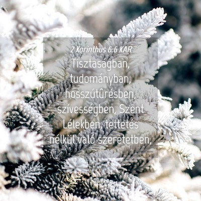 Picture 04 - 2 Korinthus 6:6 KAR - Tisztaságban, tudományban, hosszútûrésben, - Bible Verse Picture