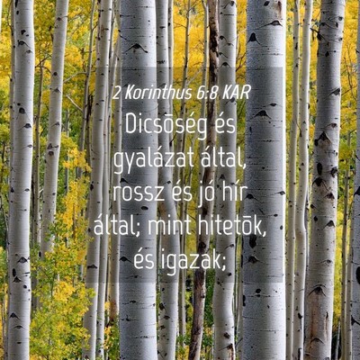 Picture 04 - 2 Korinthus 6:8 KAR - Dicsõség és gyalázat által, rossz és jó - Bible Verse Picture