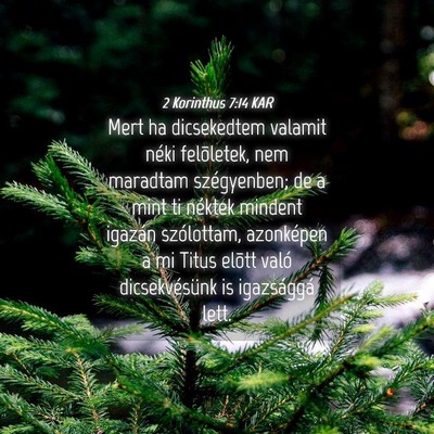 Picture 04 - 2 Korinthus 7:14 KAR - Mert ha dicsekedtem valamit néki felõletek, nem - Bible Verse Picture