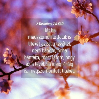 Picture 04 - 2 Korinthus 7:8 KAR - Hát ha megszomorítottalak is titeket azzal a - Bible Verse Picture