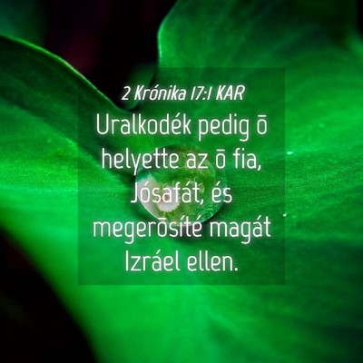 Picture 04 - 2 Krónika 17:1 KAR - Uralkodék pedig õ helyette az õ fia, - Bible Verse Picture