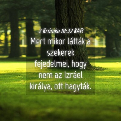 Picture 04 - 2 Krónika 18:32 KAR - Mert mikor látták a szekerek fejedelmei, hogy - Bible Verse Picture