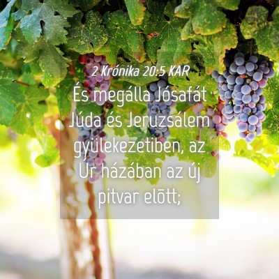 Picture 04 - 2 Krónika 20:5 KAR - És megálla Jósafát Júda és Jeruzsálem - Bible Verse Picture