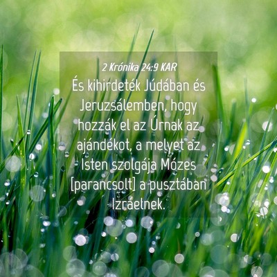 Picture 04 - 2 Krónika 24:9 KAR - És kihirdeték Júdában és Jeruzsálemben, - Bible Verse Picture