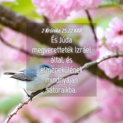 Picture 04 - 2 Krónika 25:22 KAR - És Júda megveretteték Izráel által, és - Bible Verse Picture